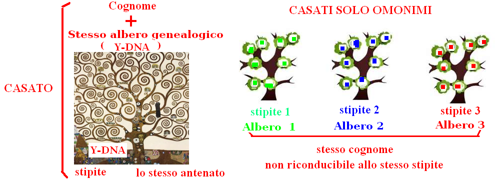 Maredolce: LE MITICHE SCIMMIE DI MARE